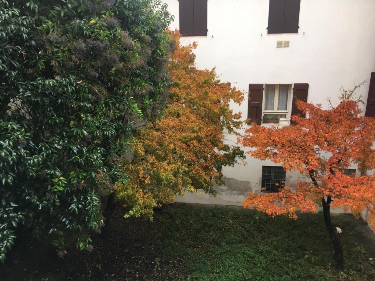 Dimora Cecilia, Nel Cuore Della Citta 维琴察 外观 照片